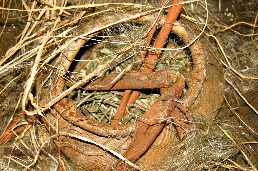 Ancient Woven (?) Basket